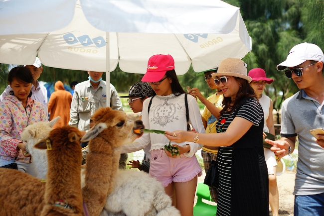 Khách du lịch chen nhau mua vé vào FLC Zoo Safari dịp 30/4 ảnh 7